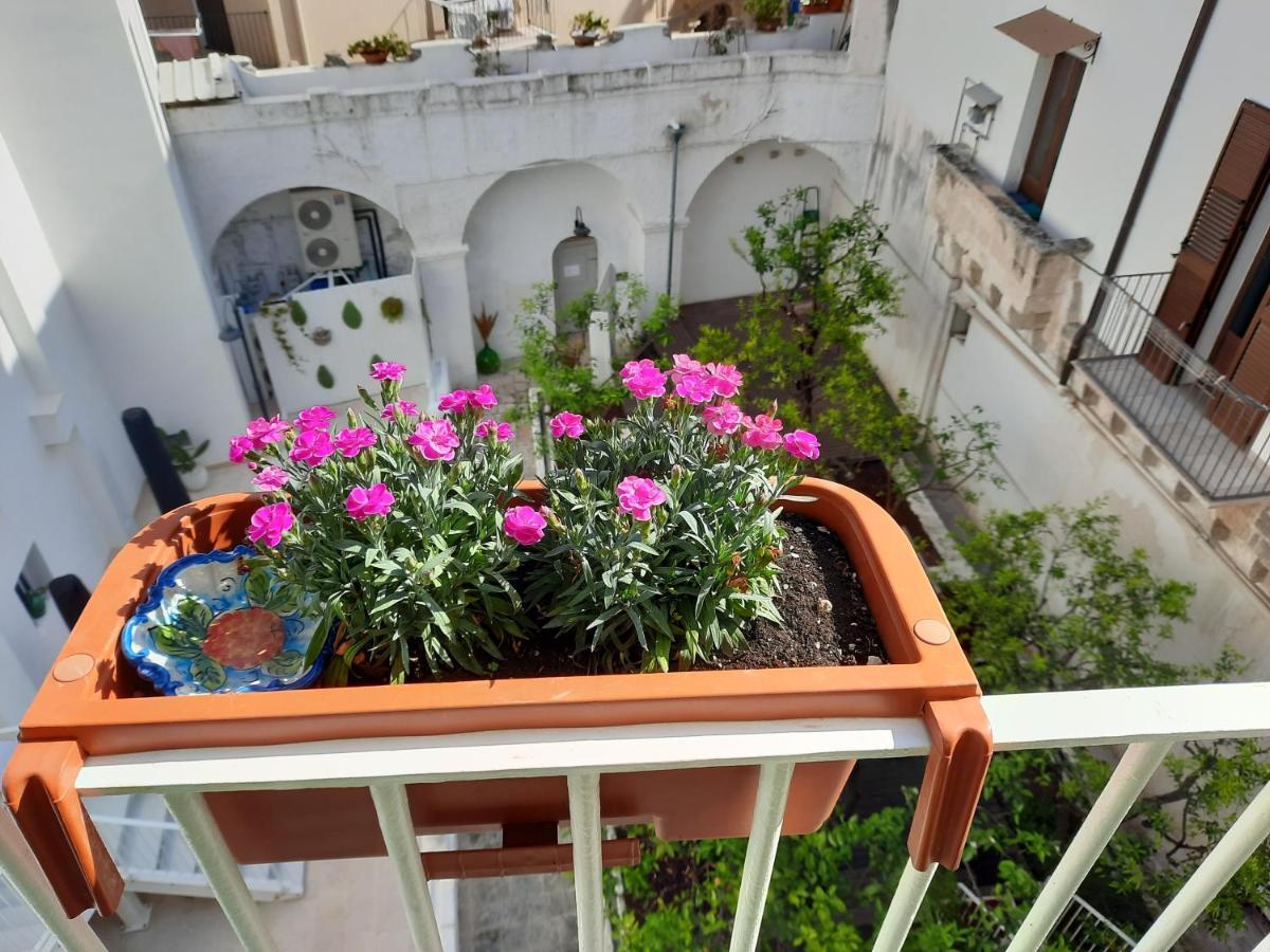 B&B Ninedda Monopoli Bagian luar foto